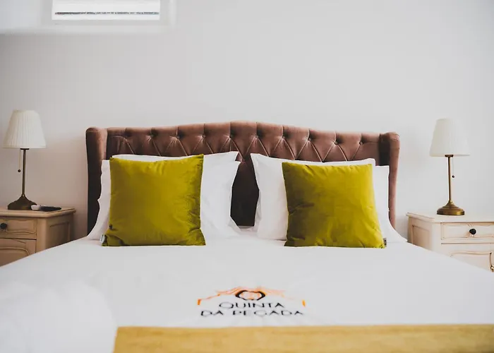 カントリーハウス Da Quinta Da Pegada オビドス